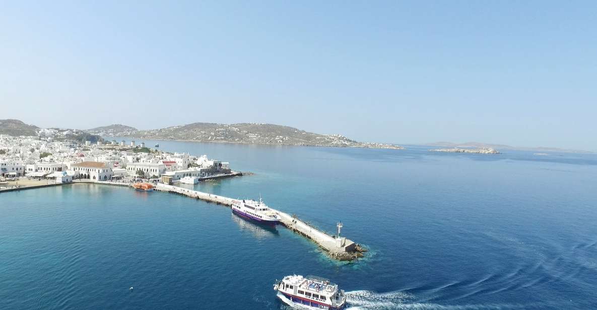 From Mykonos: Afternoon Delos Cruise & Guided Tour - Customer Feedback and Ratings