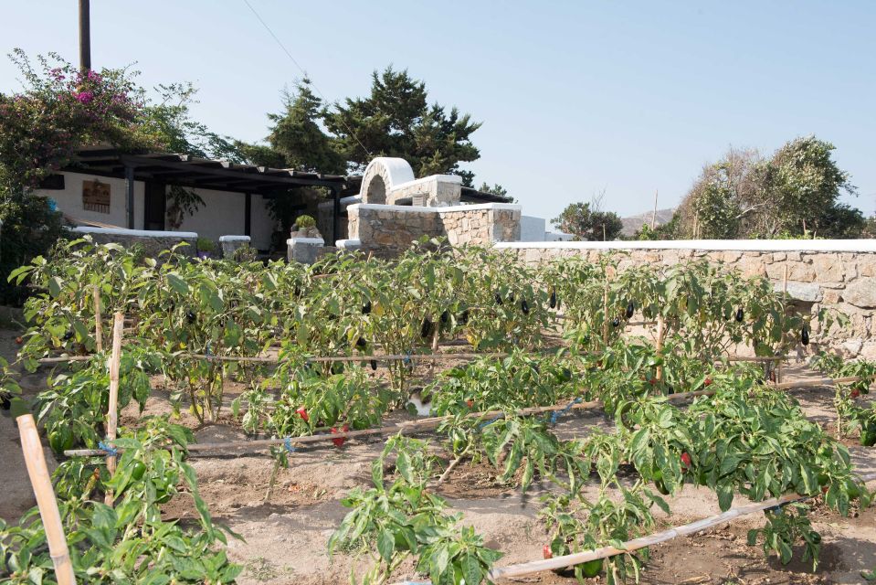 From Mykonos: Ano Mera Farm Tour - Inclusions