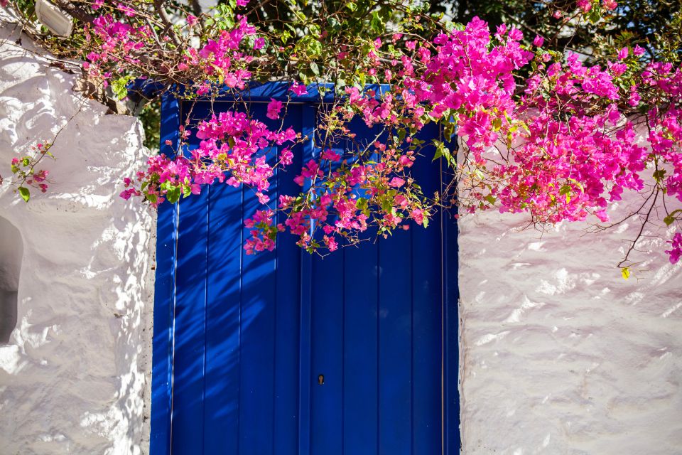 From Mykonos Town: Guided Sightseeing Tour With Windmills - Cultural Insights