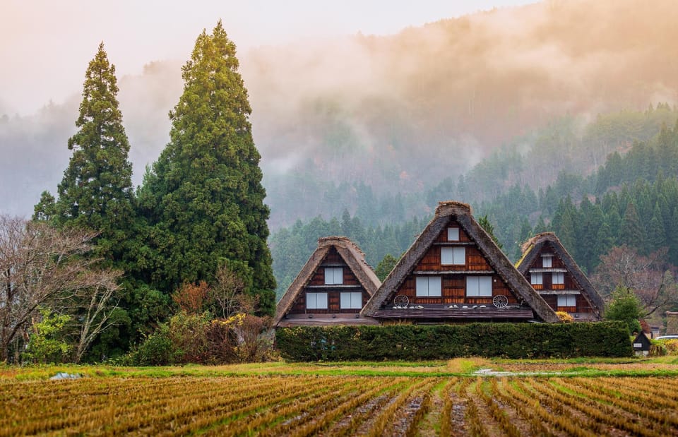 From Nagoya: Hida Takayama and Shirakawago UNESCO Day Trip - Local Culinary Delights