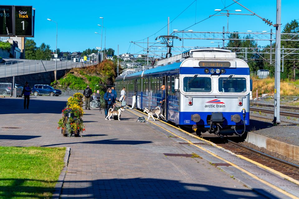 From Narvik: Round-Trip Arctic Train Ride on Ofoten Railway - Accessibility Features