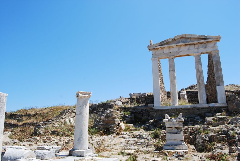 From Naxos: Delos and Mykonos Full-Day Boat Trip - Important Information