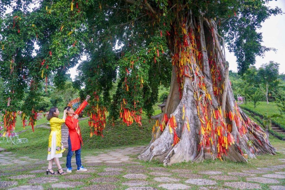 From Nha Trang: Full Day Trip to Yang Bay Waterfall - Activities at Yang Bay