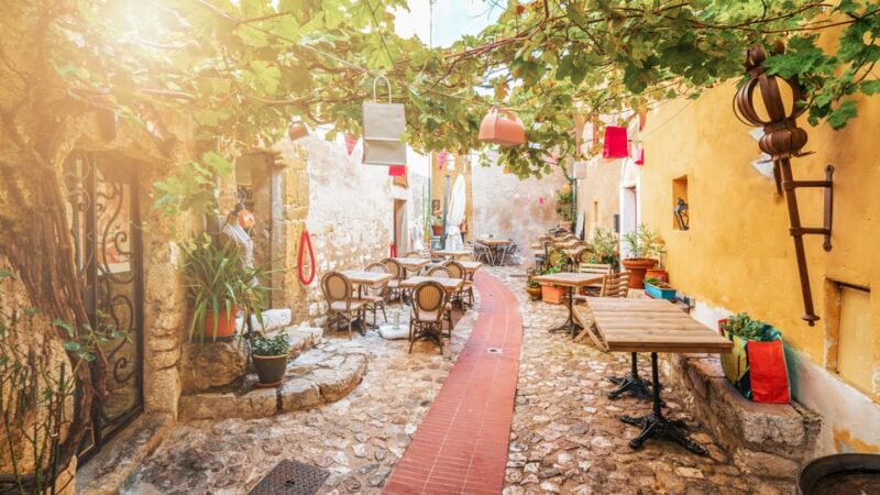From Nice: Monaco, Monte Carlo, and Eze Half-Day Trip - Exclusions