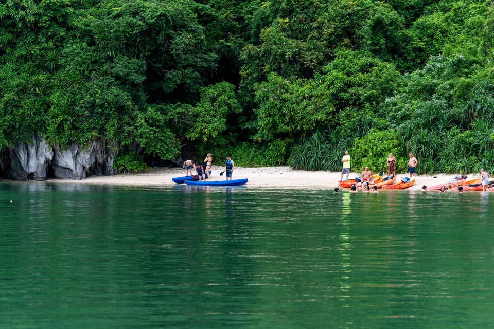 From Ninh Binh: 2 Days 1 Night Cruise in Bai Tu Long Bay - Important Information