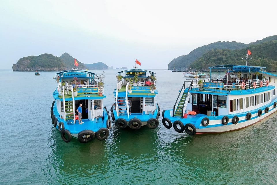 From Ninh Binh : 2 Days Lan Ha Bay, Cat Ba Island Overnight - Exploring Cat Ba Island