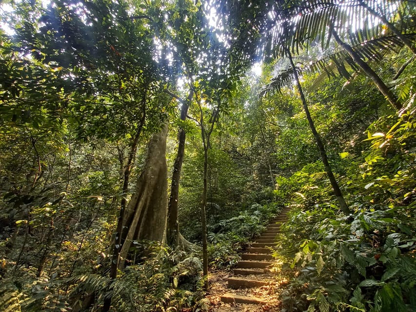 From Ninh Binh: Cuc Phuong National Park 1-Day Small Group - Important Information