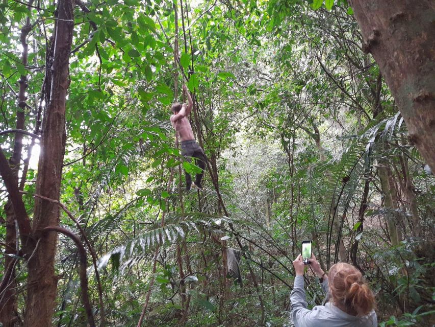 From Ninh Binh: Cuc Phuong National Park Guided Tour & Lunch - Transportation Information