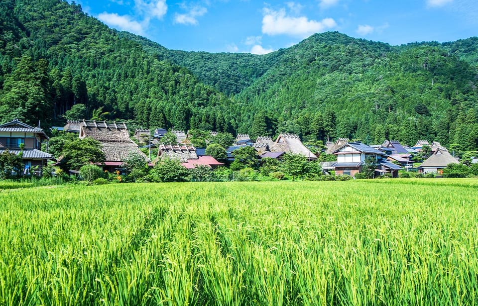 From Osaka: Kyoto Full-Day Guided Tour - Discovering Miyama Village