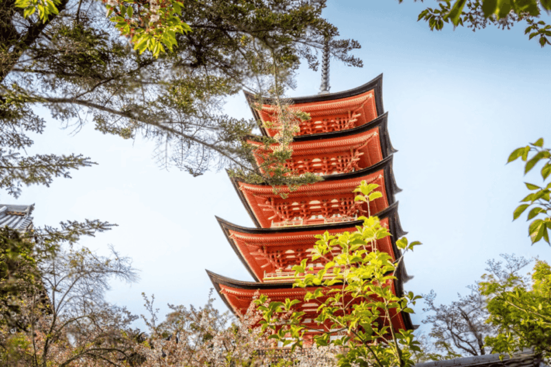From Osaka/Kyoto: Hiroshima and Miyajima Private Tour - Itinerary Highlights