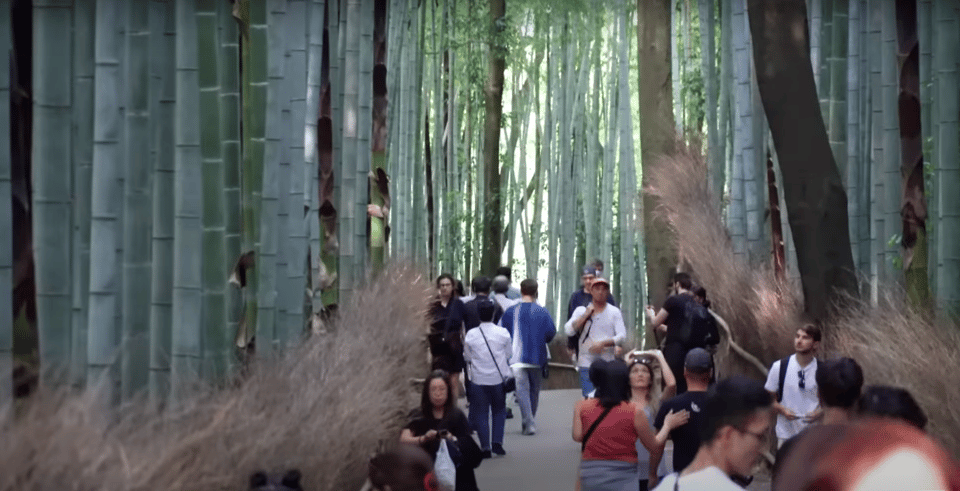 From Osaka/Kyoto: Kyoto Full-Day Sightseeing Private Tour - Tips for Travelers