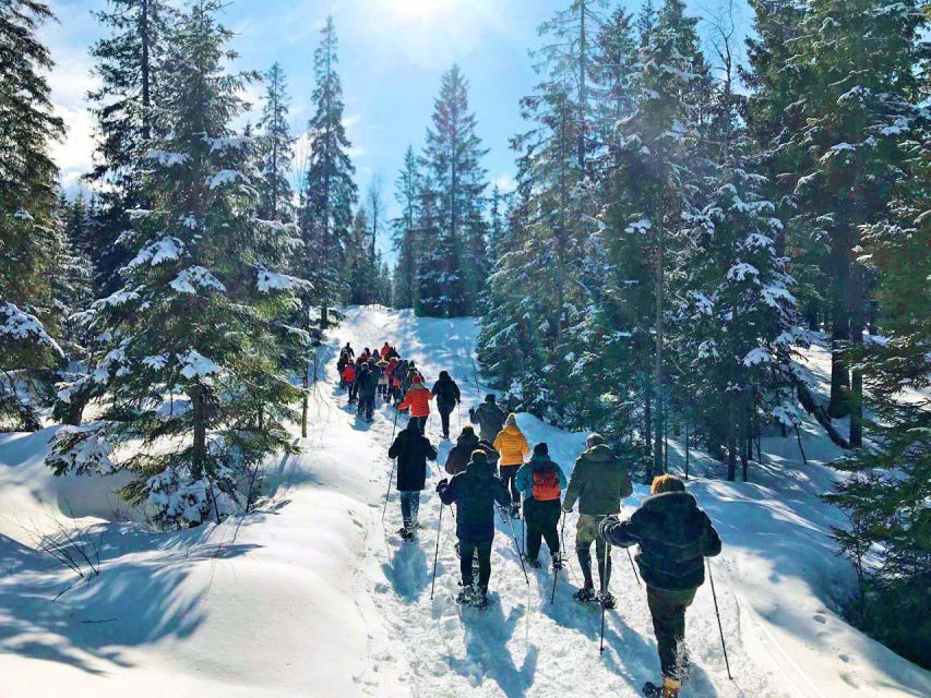 From Oslo: Oslomarka Forest Guided Snowshoeing Tour - Inclusions and Exclusions