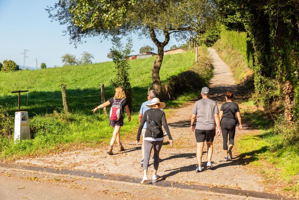 From Oviedo: Half-Day Camino De Santiago Hike - Physical Requirements