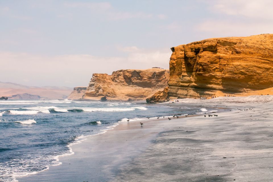 From Paracas: Paracas National Reserve Private Tour - Inclusions and Exclusions