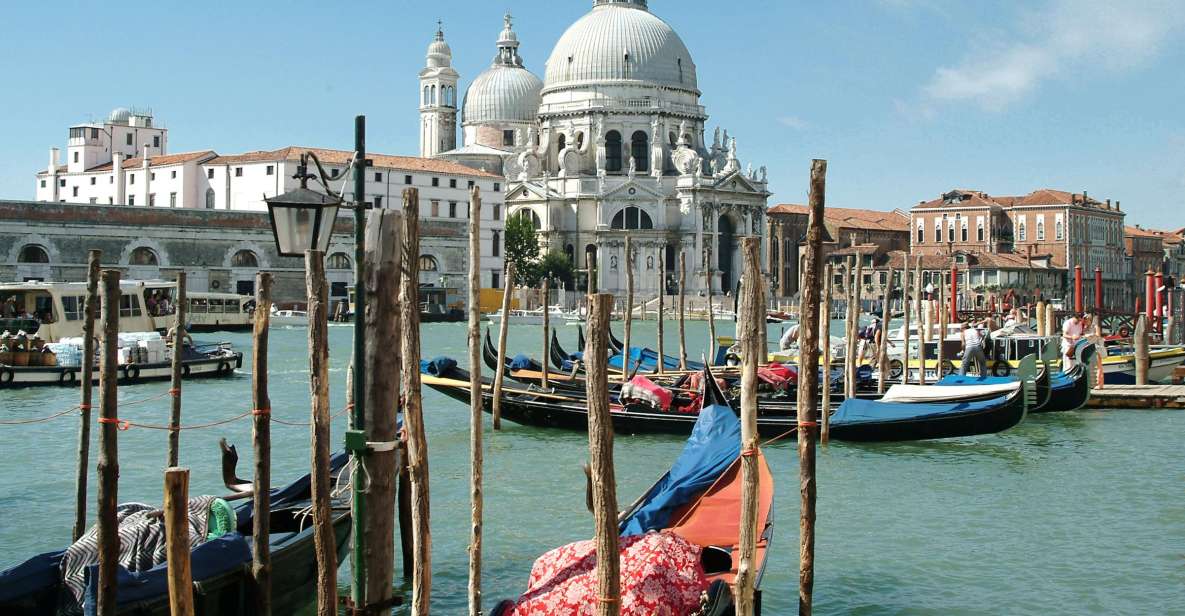 From Piran: Venice Catamaran Crossing One-Way or Round-Trip - Inclusions on Your Trip