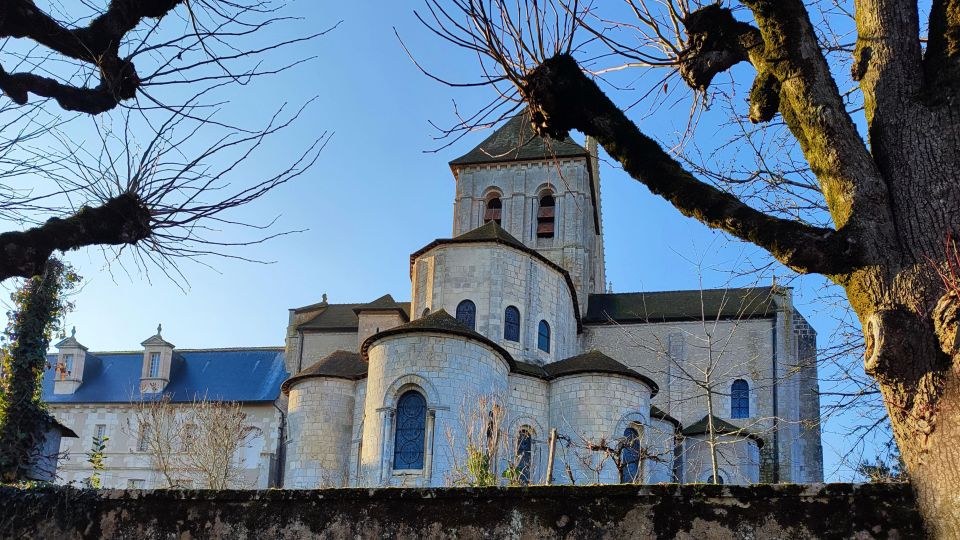 From Poitiers: Private Tour of Saint-Savin - Whats Included in the Tour