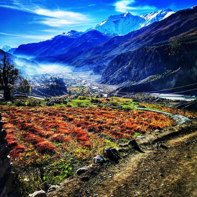 From Pokhara : 10 Day Mystical View Annapurna Circuit Trek - Accommodation and Meals