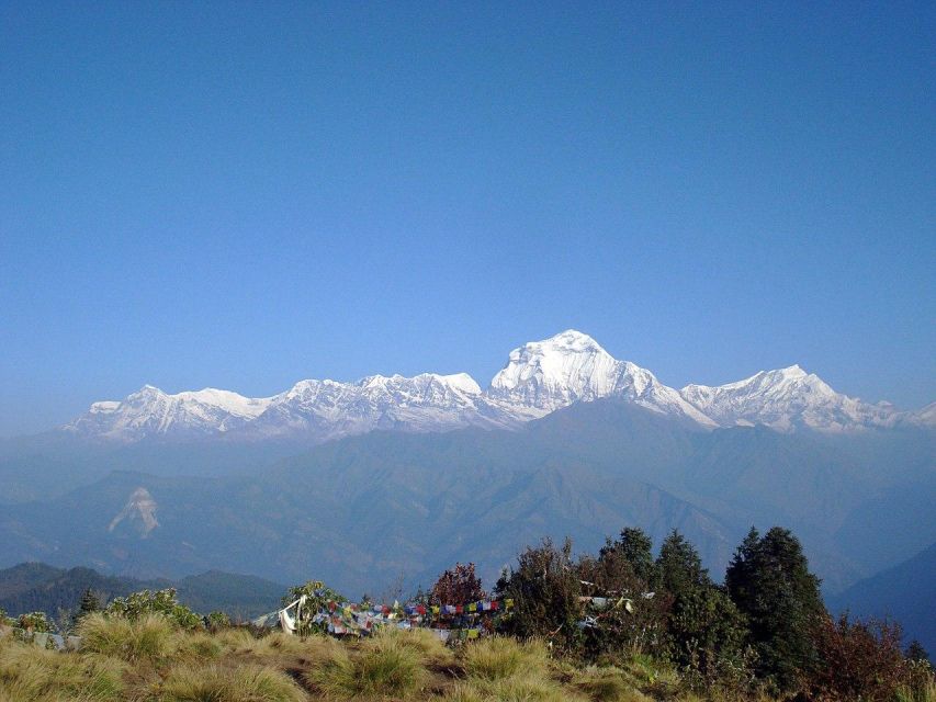 From Pokhara 10-Day Poon Hill and Annapurna Base Camp Trek - Important Information