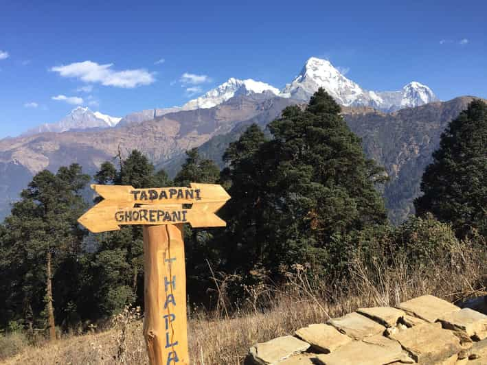 From Pokhara: 2 Days Ghandruk Gurung Village Explore - Day One Activities