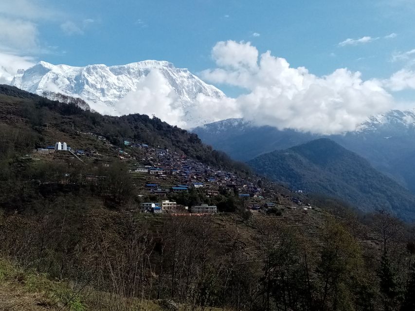 From Pokhara: 2 Nights 3 Days Mardi Himal Trek - Trekking Restrictions