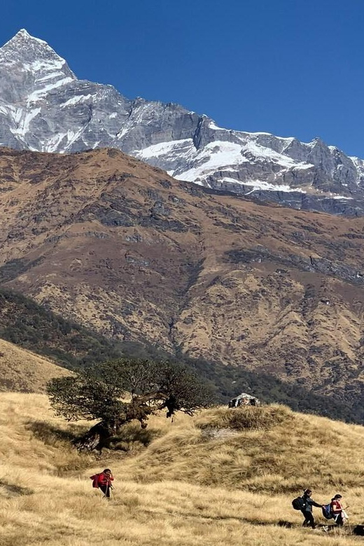 From Pokhara: 3 Day Great Machhapuchhre Trail (GMT) Trek - Cultural Experiences