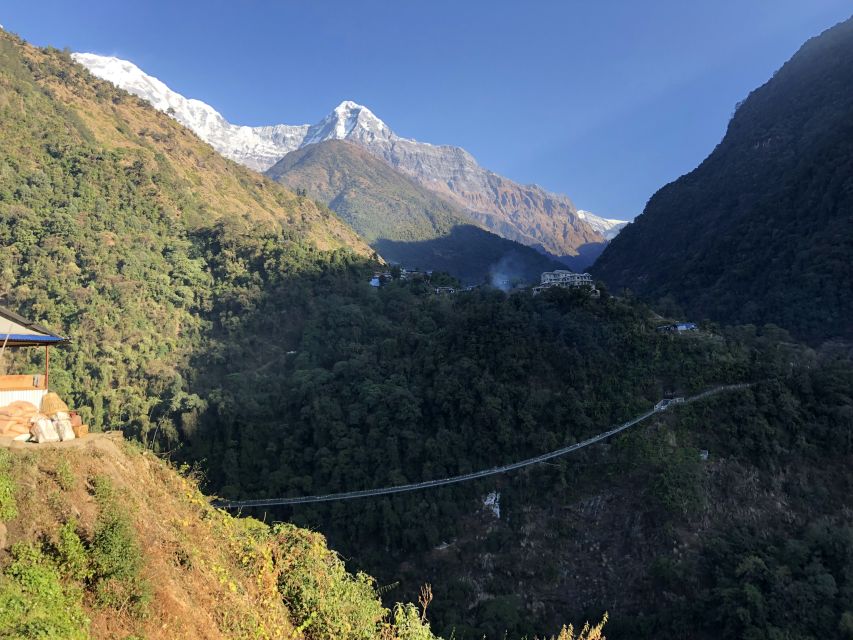 From Pokhara: 5-Day Annapurna Base Camp Trek - Inclusions of the Trek