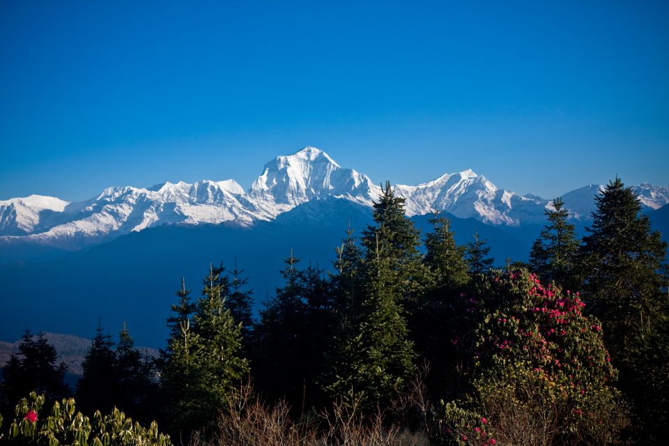 From Pokhara: 5-day Mardi Himal Trek - Booking Information