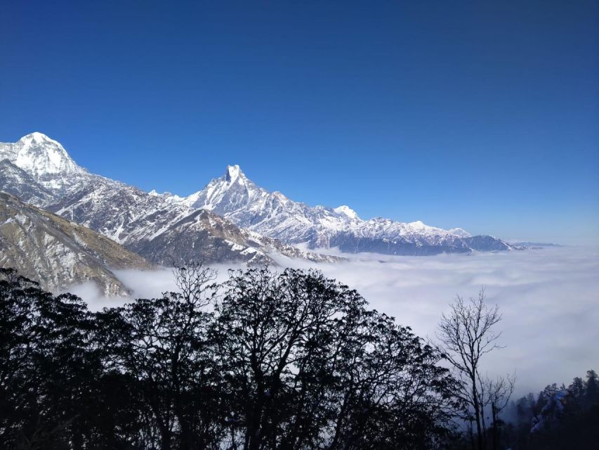 From Pokhara: 7 Days Khopra Hill Trek - Best Seasons for Trekking