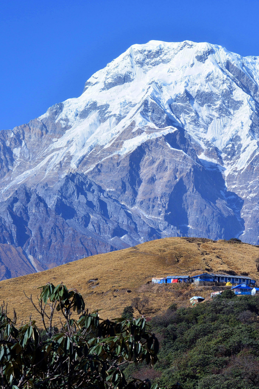 From Pokhara: 8-Day Mardi Himal Trek With Transfers - Important Travel Information