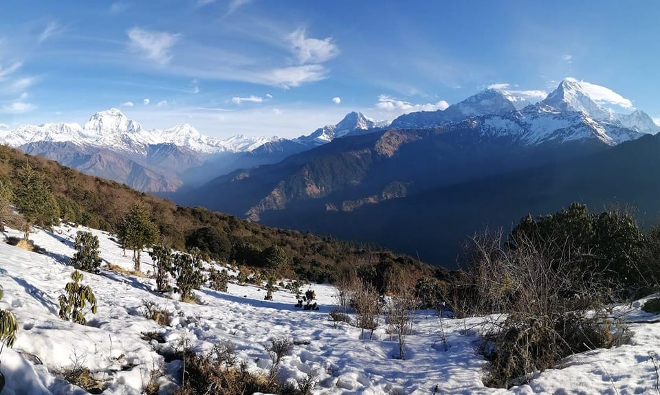 From Pokhara: Annapurna Base Camp and Poon Hill Trek - Trekking Requirements and Recommendations