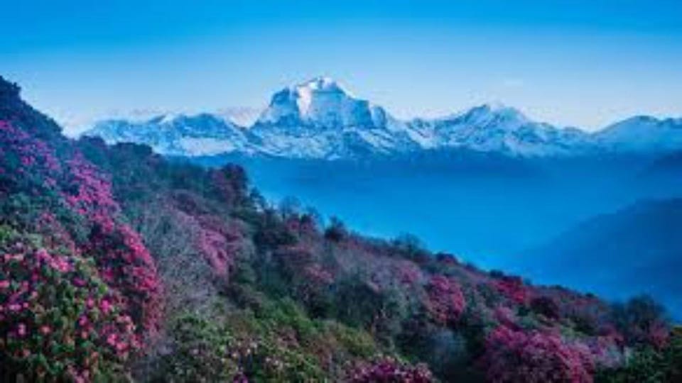 From Pokhara : Budget 3 Days Ghorepani & Poon Hill Trek - Essential Packing List