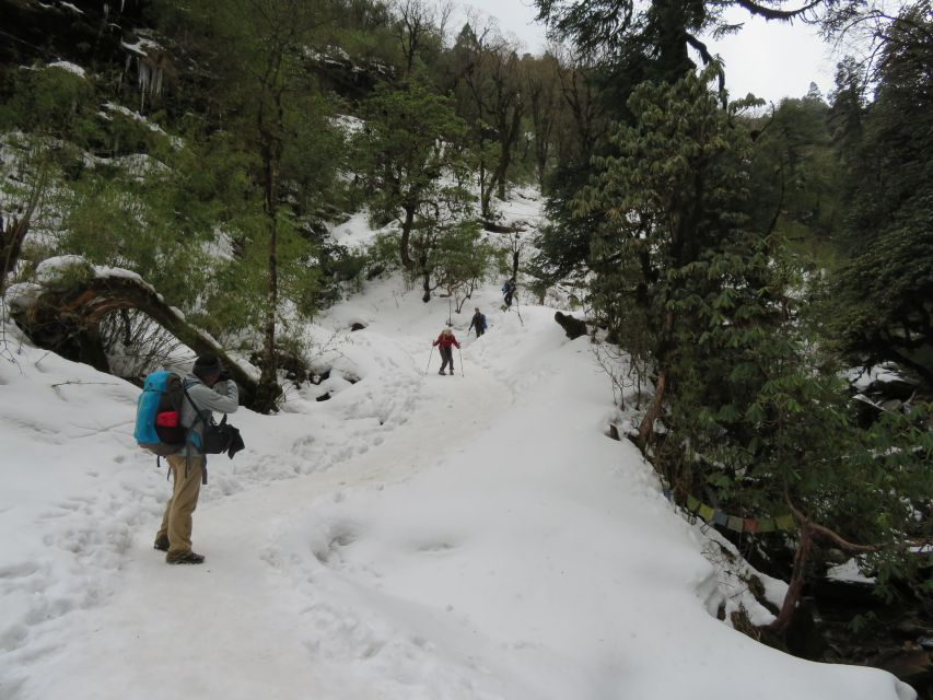 From Pokhara - Ghorepani Poon Hill Ghandruk Trek - 4 Days - Cultural Experiences