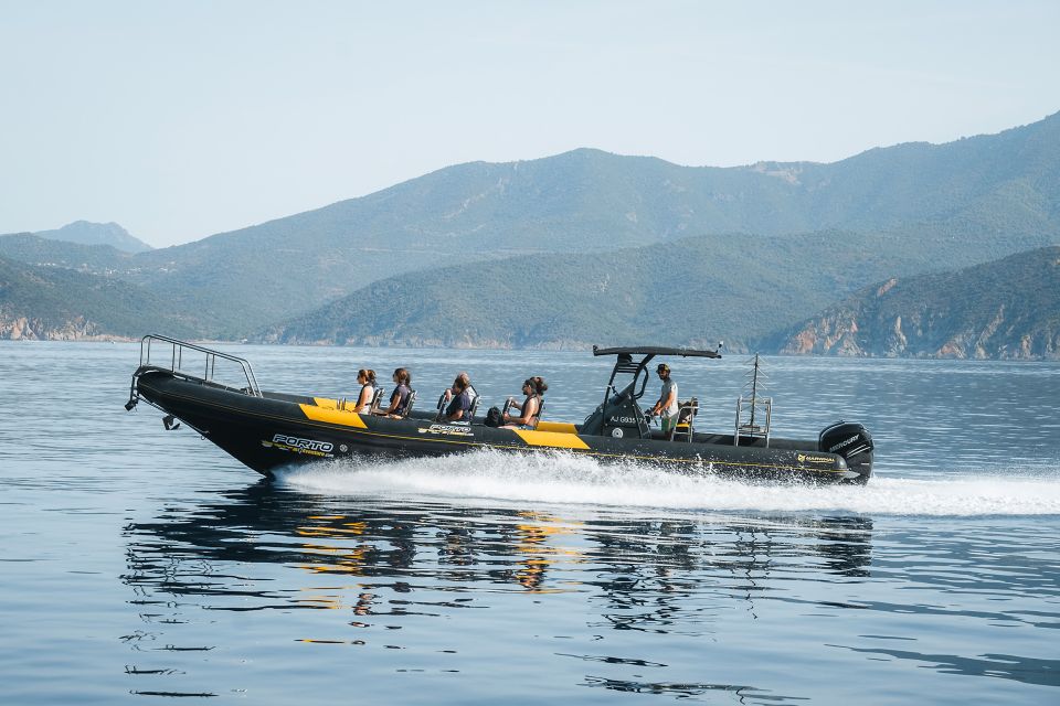 From Porto: Piana Creeks and Scandola Semi-Rigid Boat Tour - Discovering Scandola Nature Reserve