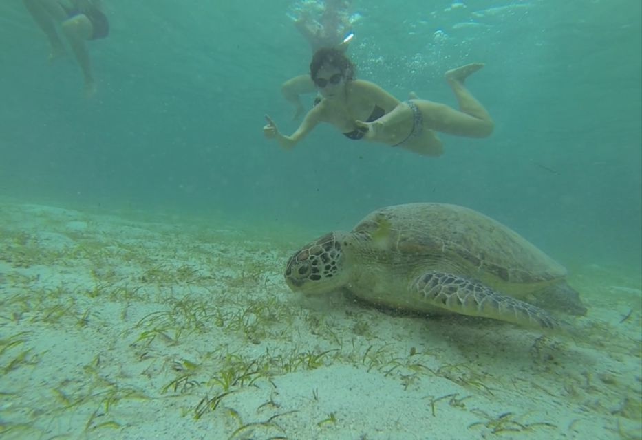 From Puerto Princesa: Port Barton Island Hopping Day Trip - Pickup and Drop-off Details