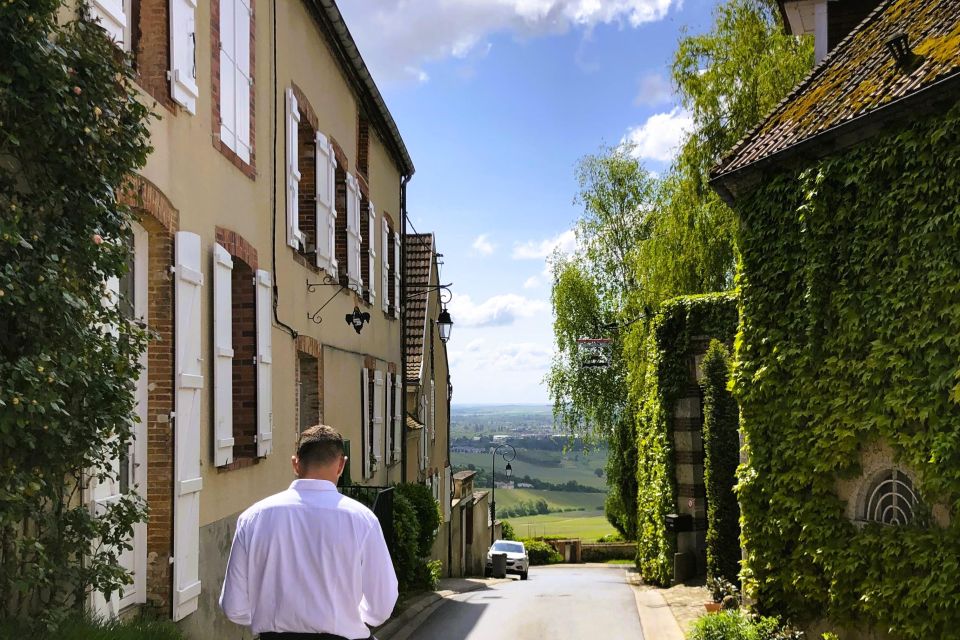 From Reims: Champagne and Family-Run Wineries Tour - Inclusions and Exclusions