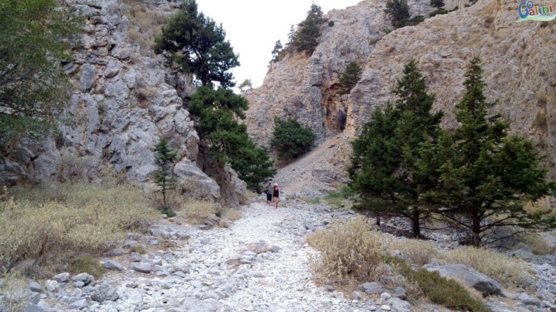 From Rethymno: Imbros Gorge & Libyan Guided Sea Tour - Suitability and Recommendations