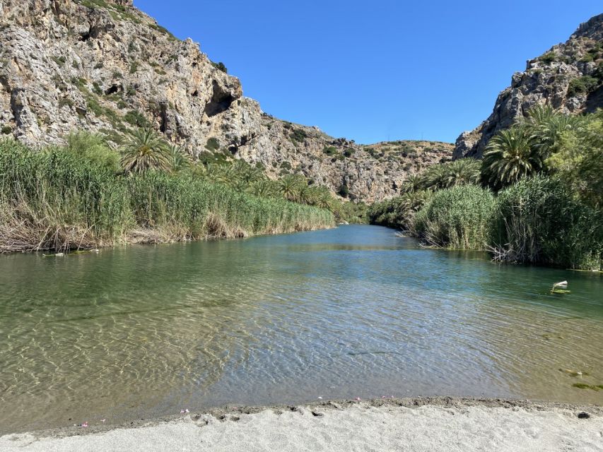 From Rethymno: Preveli Palm Forest Hike and Beach Day Trip - Recommendations