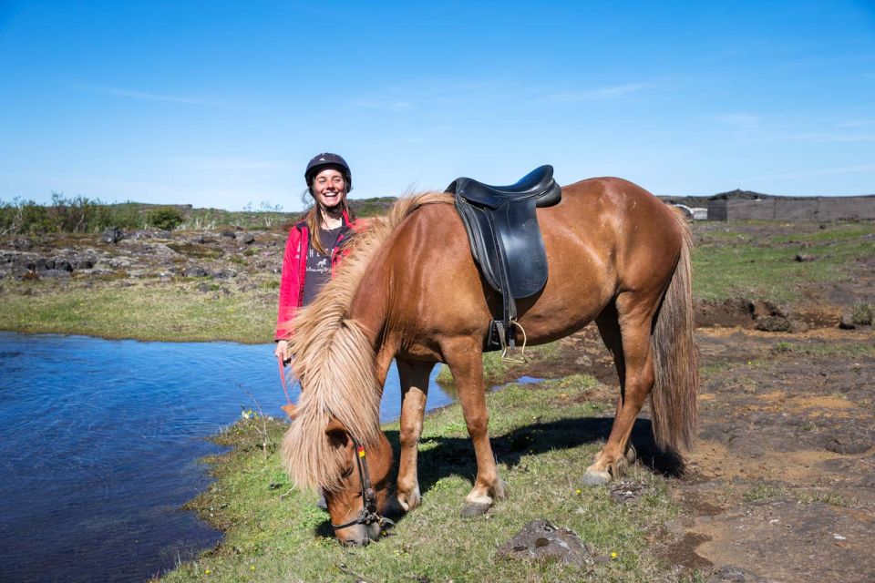 From Reykjavík: Icelandic Horse Riding Tour in Lava Fields - Facilities at Íshestar Stables