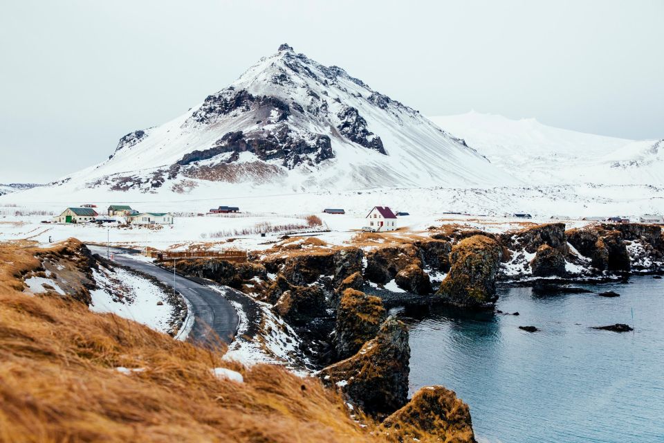 From Reykjavik: Snæfellsnes Full-Day Tour With Homemade Meal - Culinary Experience