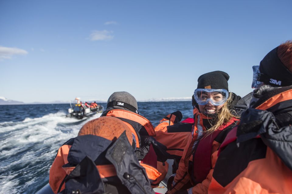 From Reykjavik: Whale and Puffin Watching RIB Boat Tour - Safety Guidelines