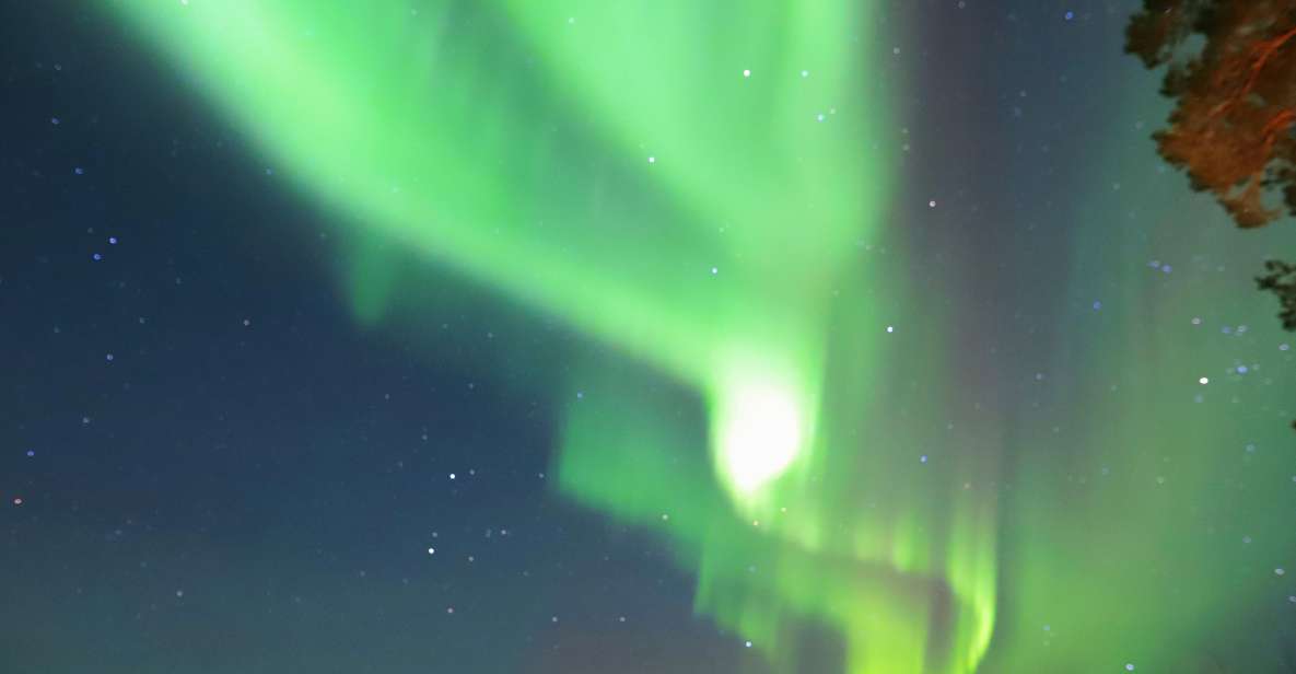 From Rovaniemi: Aurora Borealis Trip in Lapland Lakeside - Tips for Optimal Viewing