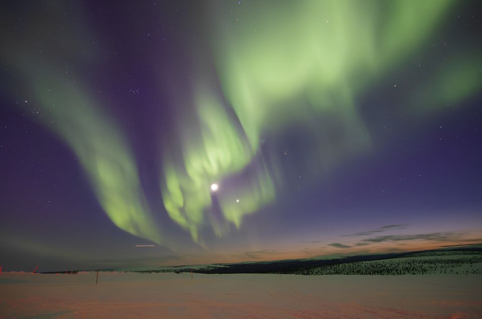 From Rovaniemi: Aurora Dreamscape Tour in the Wild - Essential Information