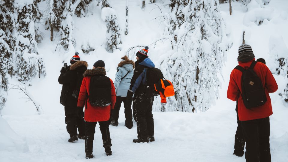 From Rovaniemi: Korouoma Canyon and Frozen Waterfalls Tour - Highlights of the Canyon