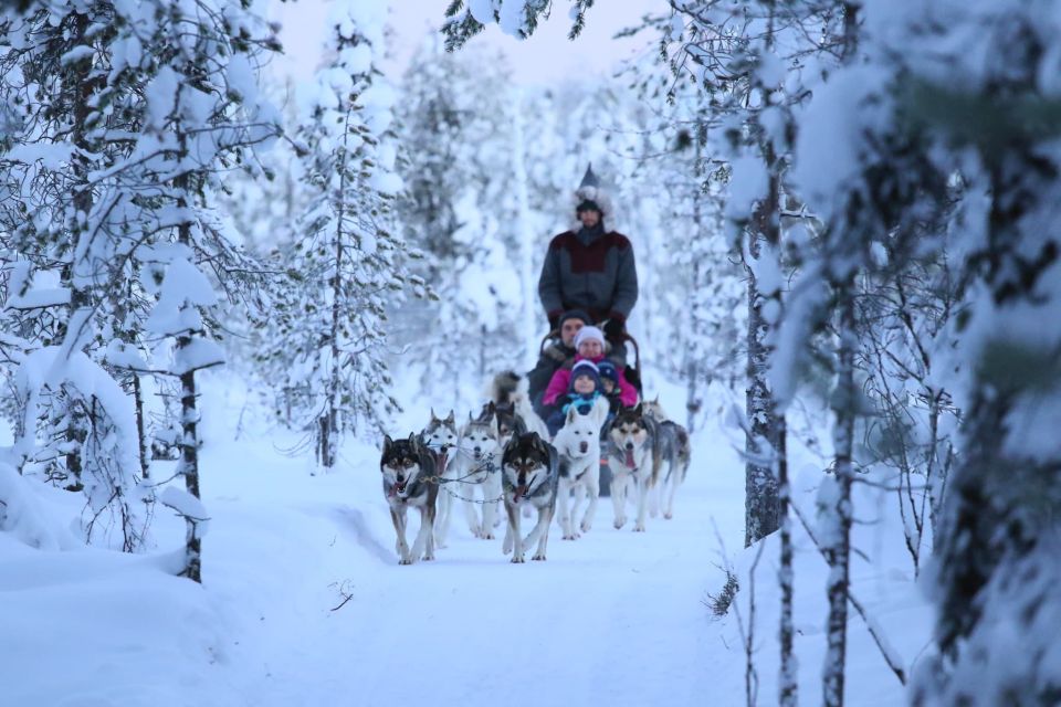 From Rovaniemi: Self-Driven 10km Husky Sled Ride - What to Expect