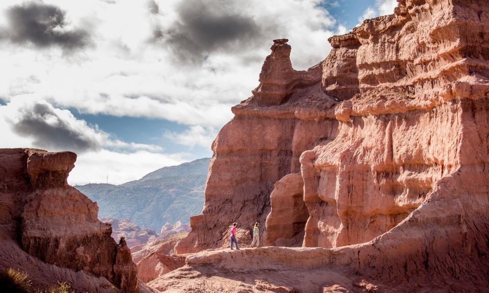 From Salta: Full-Day Wine and Valley Tour to Cafayate - Transportation Details