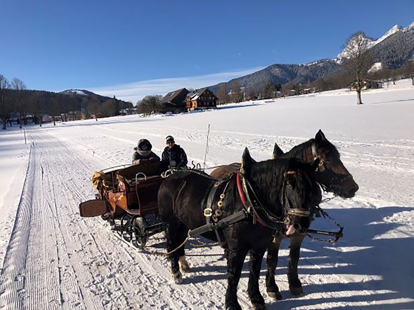 From Salzburg: 8-Hour Tour With Horse-Drawn Sleigh Ride - Tips for an Enjoyable Experience