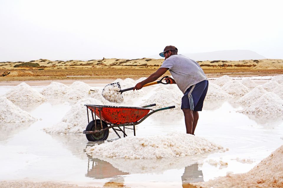 From Santa Maria: Sal Island Private Day Trip - Recommended Attire