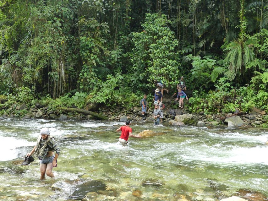 From Santa Marta: 4-Day Lost City Discovery Tour - Day 2 Highlights