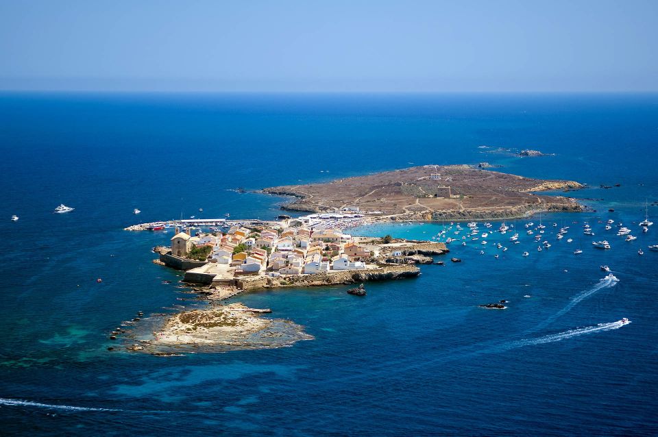 From Santa Pola: Snorkel Trip in Tabarca Island - Tour Guide and Language