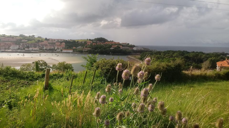 From Santander: Western Coast of Cantabria Villages Day Trip - Meeting Points and Logistics